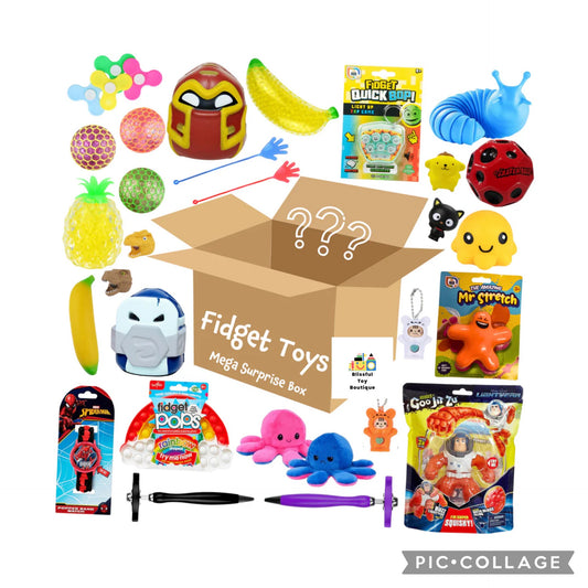 Fidget toys surprise box